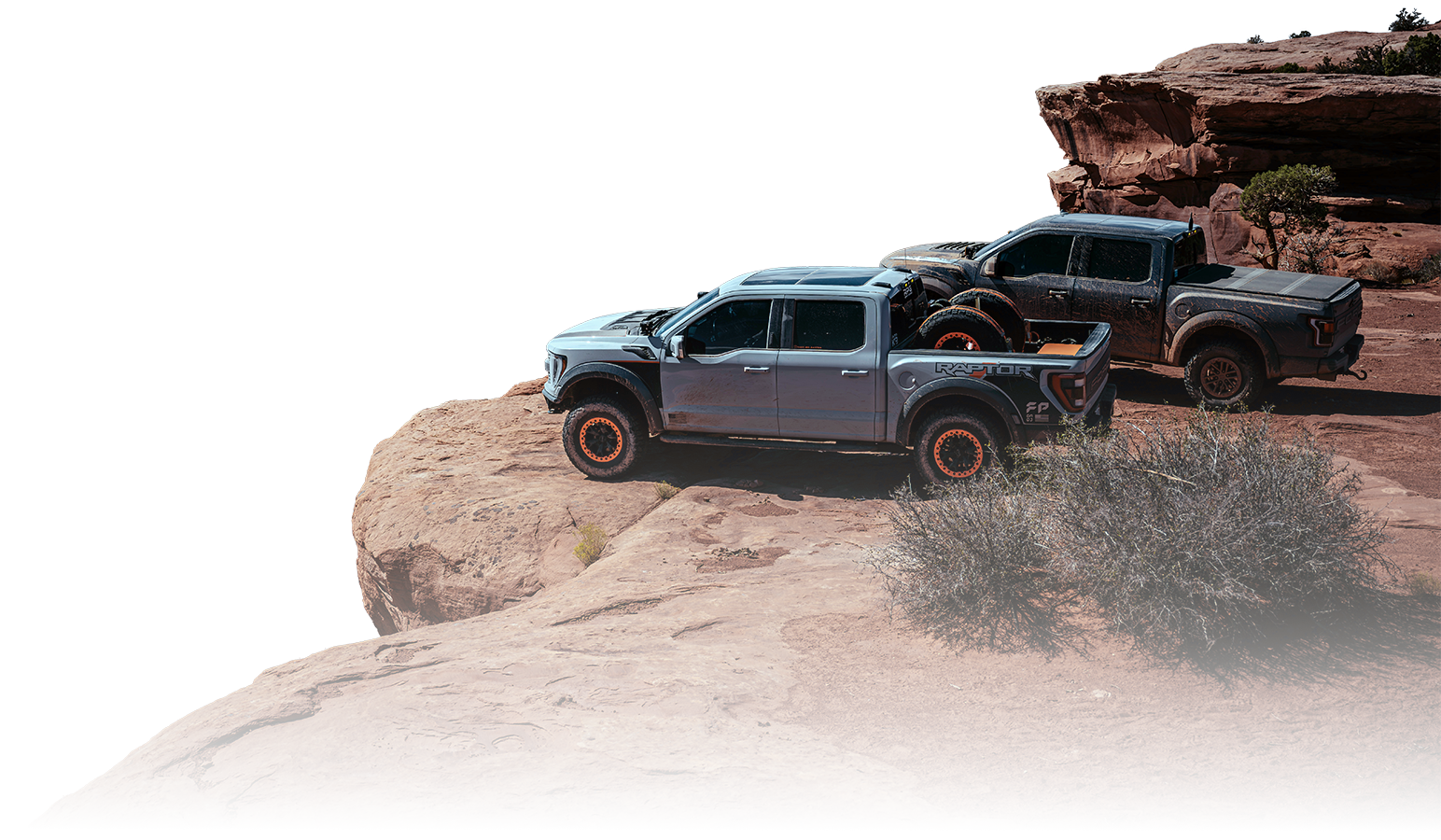 Raptor Nation community